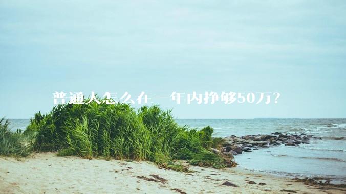 普通人怎么在一年内挣够50万？