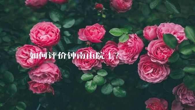 如何评价钟南山院士？